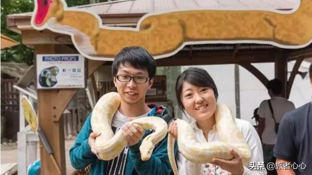 日本最危险的动物园,入园要签“生死状”,可以近距离接触动物