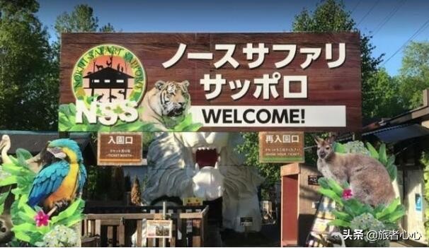 日本最危险的动物园,入园要签“生死状”,可以近距离接触动物