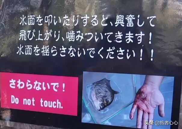 日本最危险的动物园,入园要签“生死状”,可以近距离接触动物