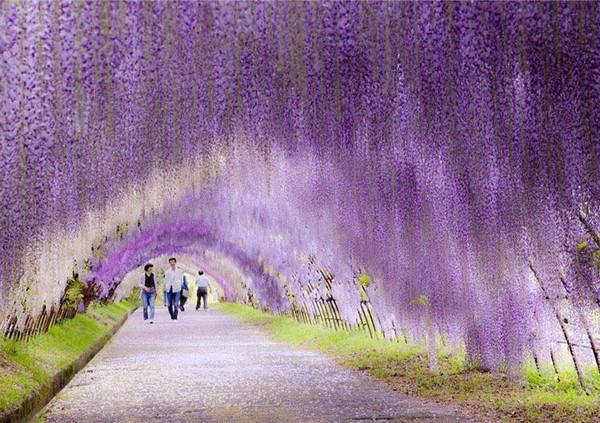 此生必去的7个旅游景点,让小江为你揭秘