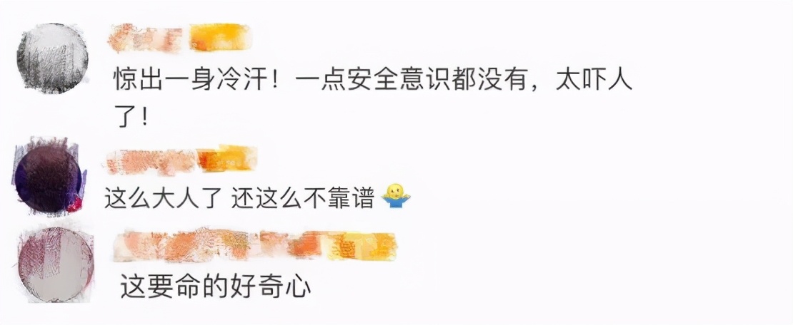 每一个懂事的孩子,背后都有一个不称职的父母