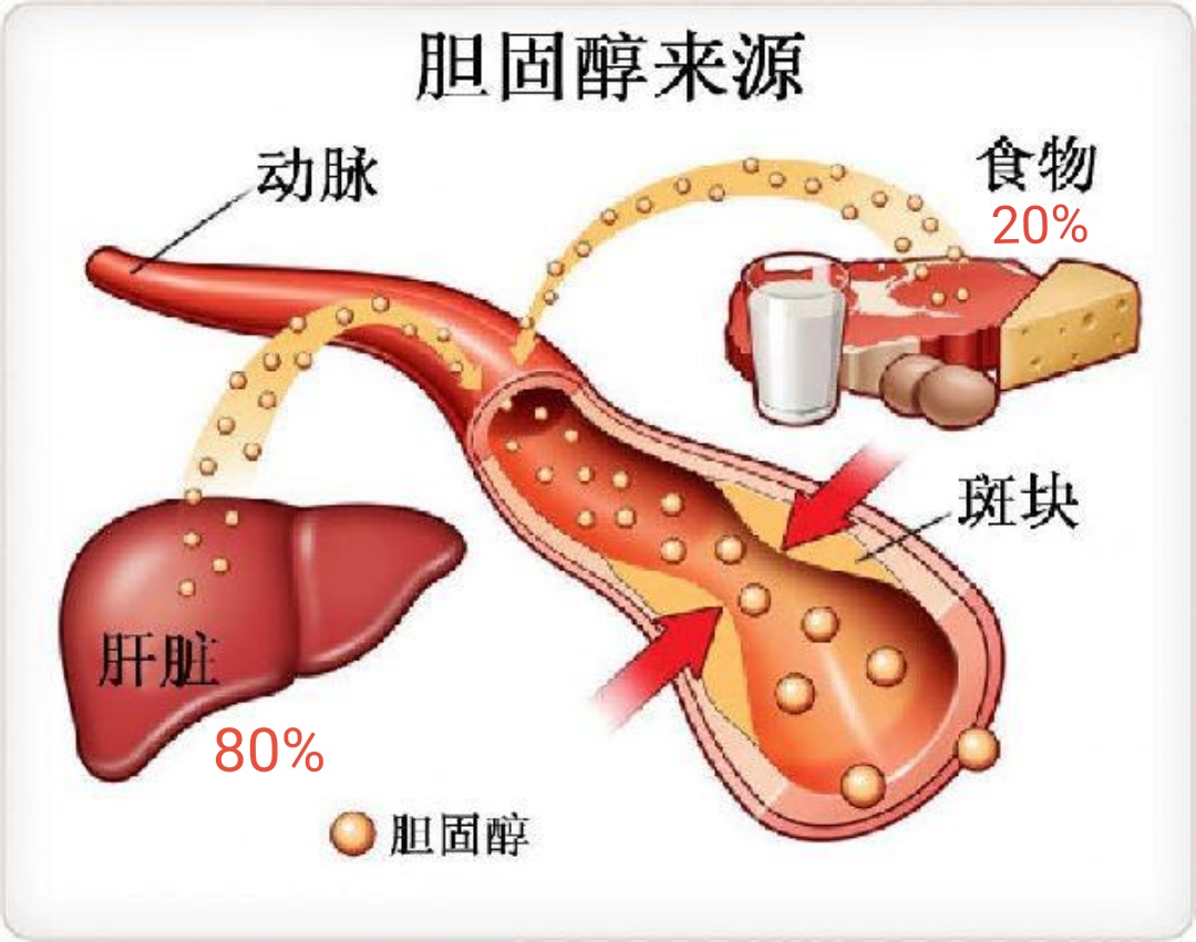 常吃全蛋(含蛋黄)对健康到底是有利,还是不利?医生一文说清楚