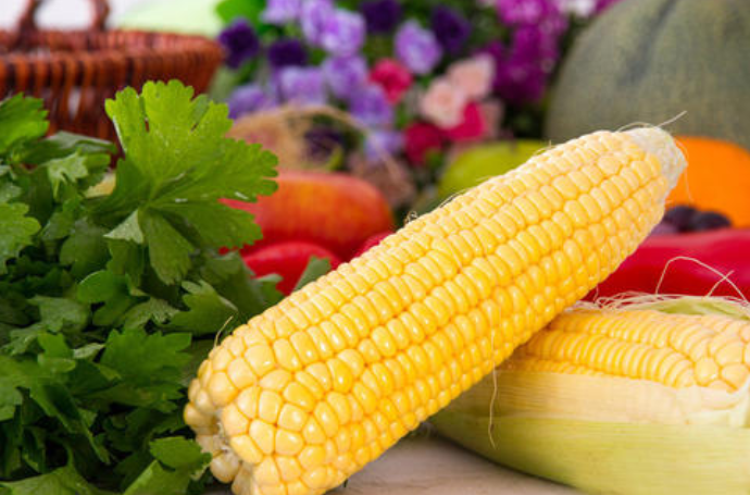 经常吃点玉米，不仅可以增强体力，也能保护肠胃健康