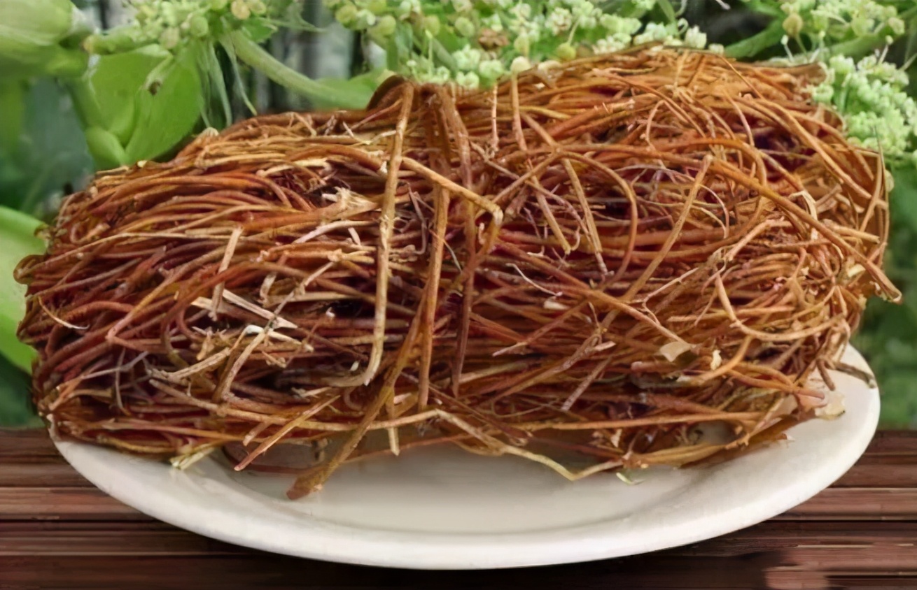 鸡骨草,一味能治疗急性传染性肝炎的“野草”