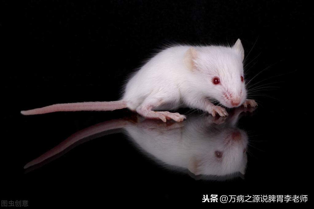 脾胃虚弱的人,一辈子要注意这3件事,自然慢慢好起来