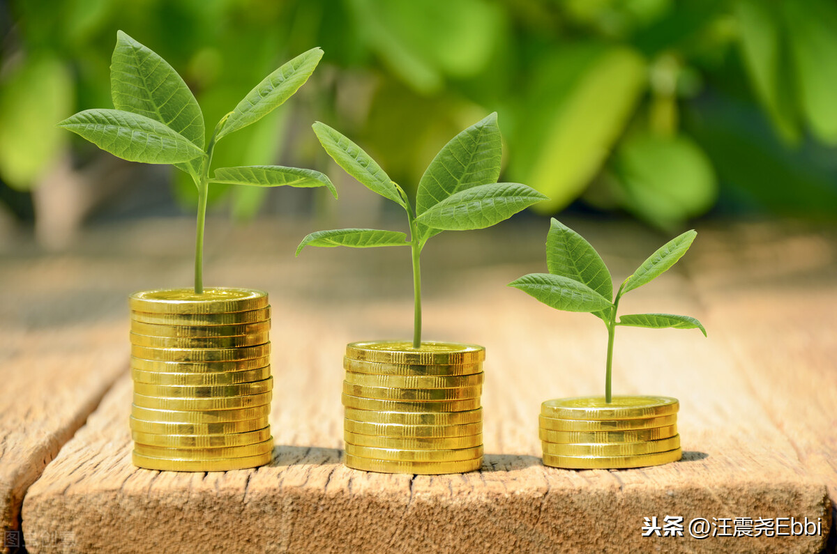 还有家庭理财的概念?其实你已经入门,但光入门远远不够