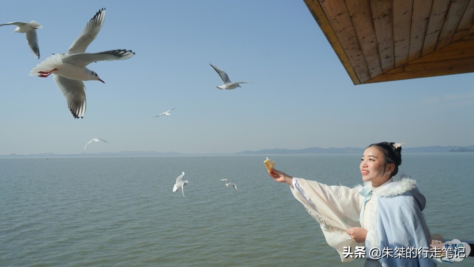 亲测推荐无锡4处5A景区,你喜欢的江南风光,这里统统都有