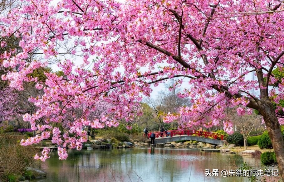 亲测推荐无锡4处5A景区,你喜欢的江南风光,这里统统都有