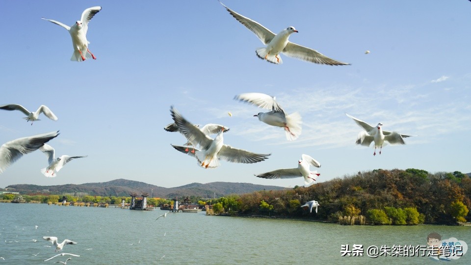 亲测推荐无锡4处5A景区,你喜欢的江南风光,这里统统都有