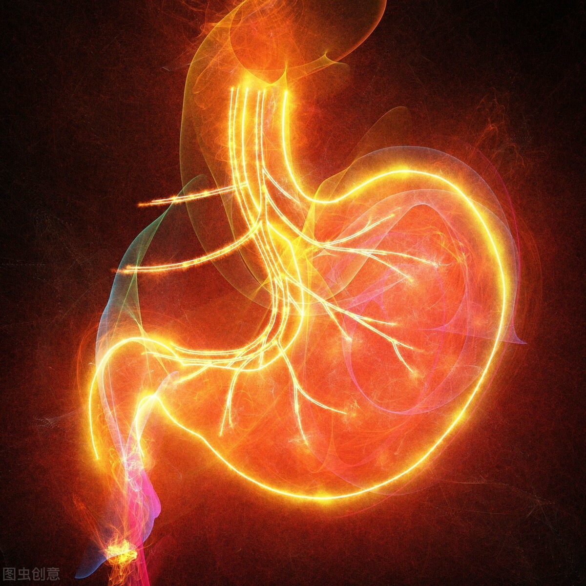 脾胃好不好,看脸就知道,3个症状暴露脾胃健康!5个习惯要改掉