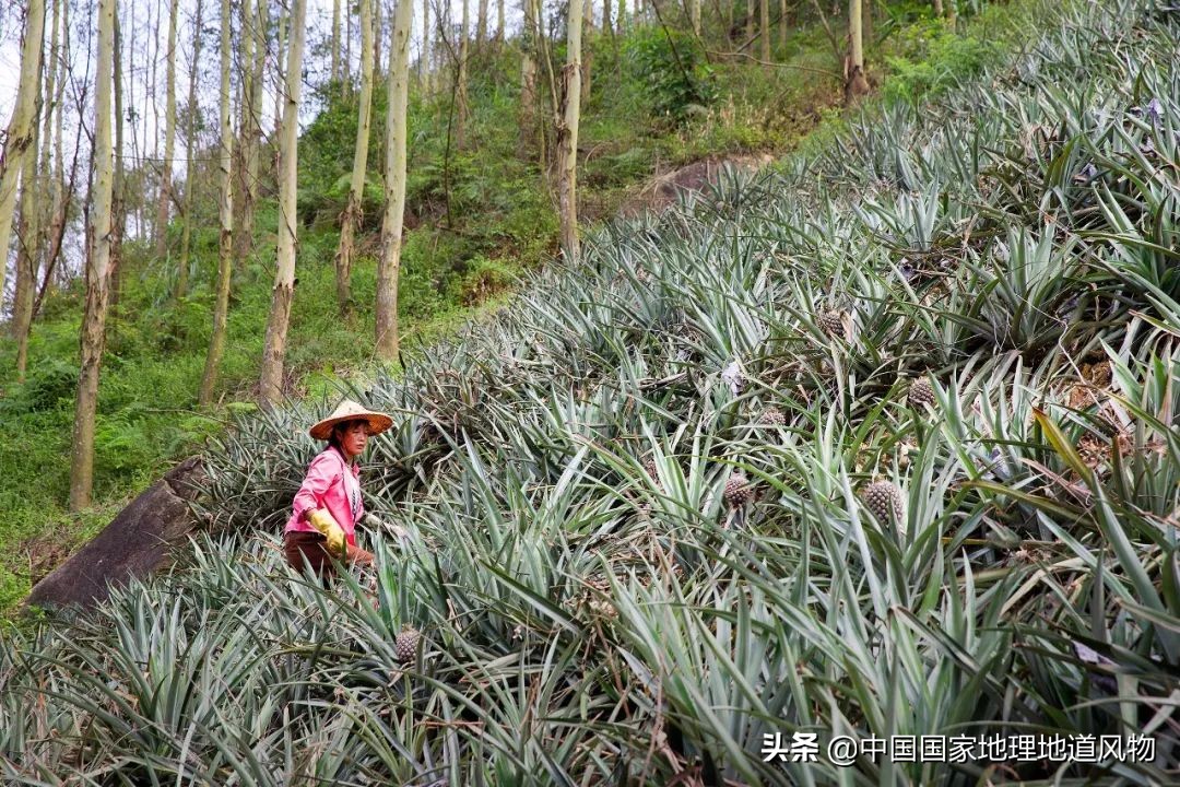 在福建，游客才去厦门，吃货都来漳州