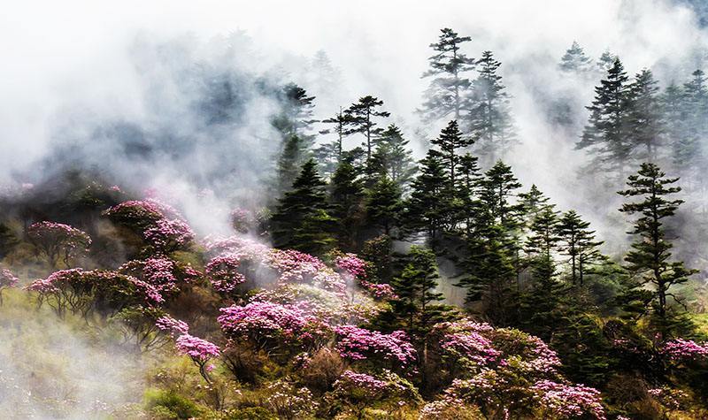 湖北：10大必去之地！没去过？请别说到过湖北！