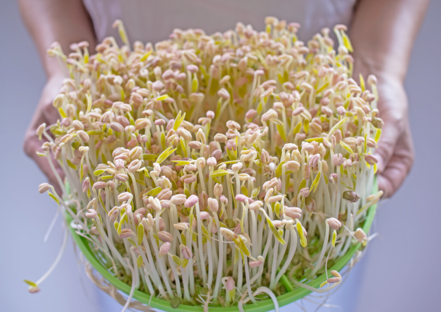告诫家人朋友:餐桌上,这4样蔬菜尽量别出现,防止尿酸找上门