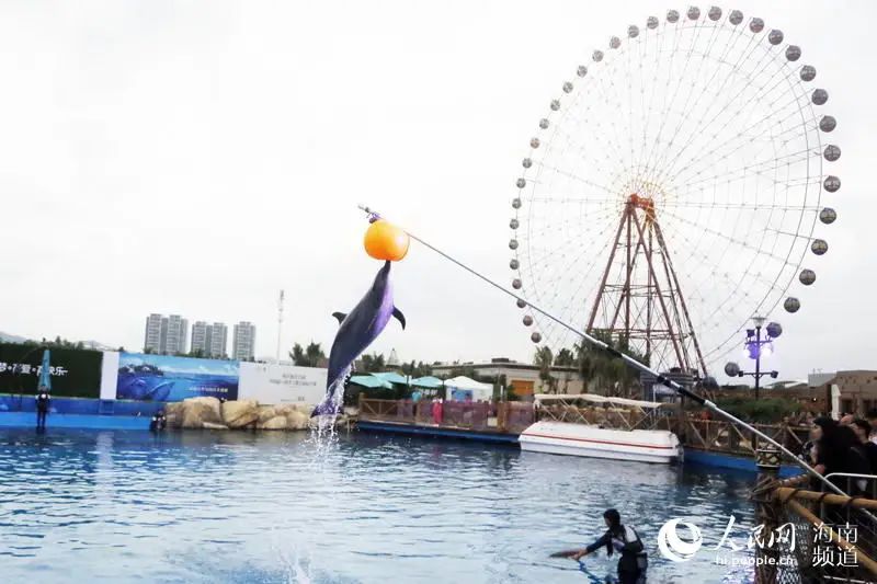从南到北一路游!海南网红景区景点喊你来“打卡”