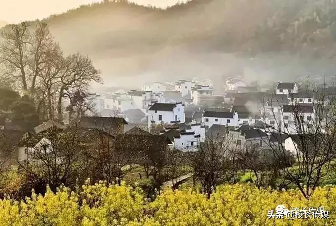 杨树凤:留白的教育是最美的教育