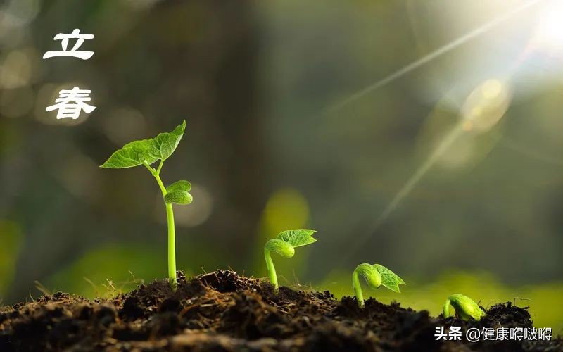 立春过后,重养肝,坚持做好这“三步”,肝好你更好