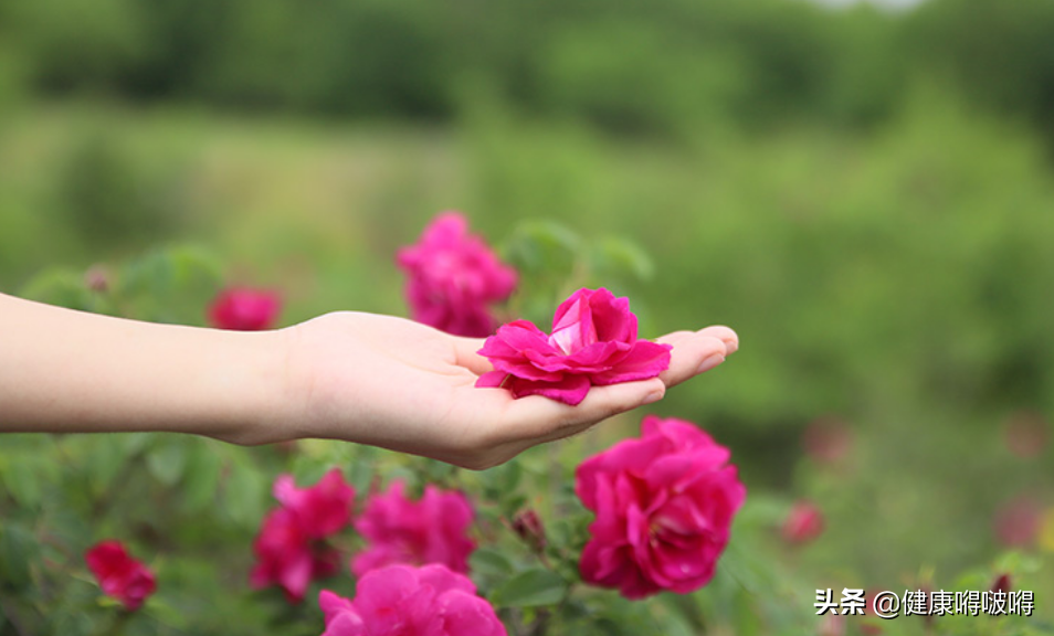 立春过后,重养肝,坚持做好这“三步”,肝好你更好