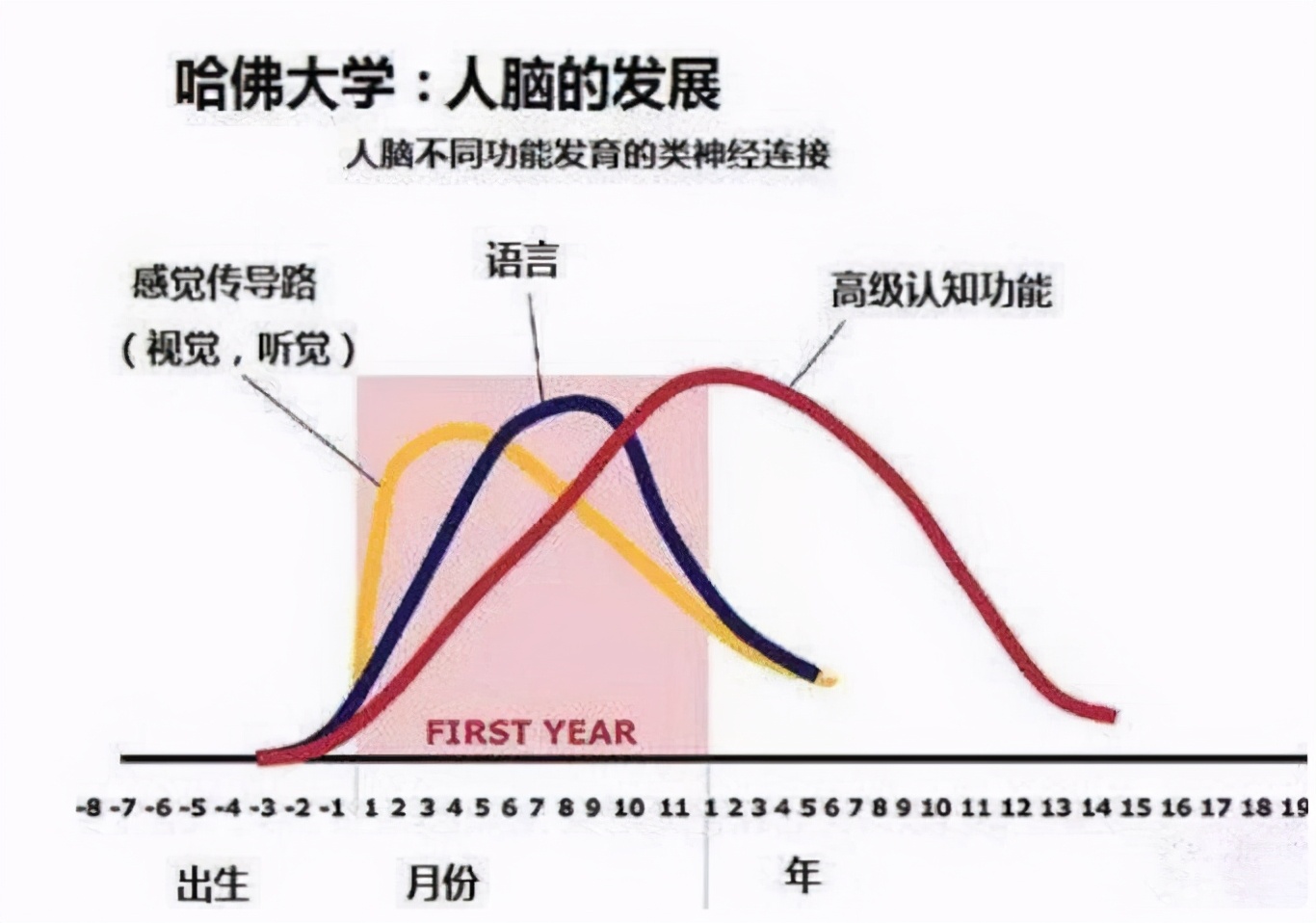 孩子3岁前有这三种“怪癖”,暗示脑力超常,长大多半是学习的料