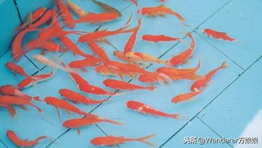 正确的家庭教育,如沐春风,浸润孩子的一生!早点知道该多好