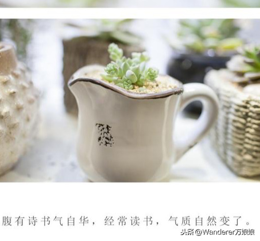 正确的家庭教育,如沐春风,浸润孩子的一生!早点知道该多好