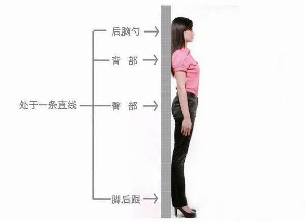久坐那么伤身,坐多久才算“久坐”?