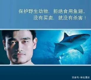 都小心点,中国楼市跑步进入“个人作假严打时代”
