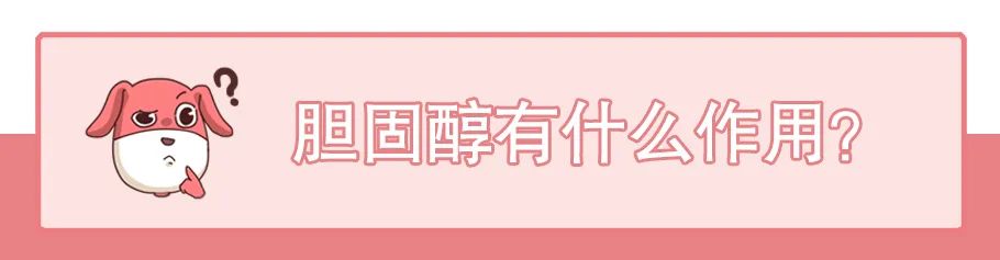 胆固醇越低越好?它的危害可比你想象中要严重