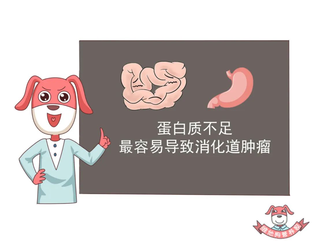 胆固醇越低越好?它的危害可比你想象中要严重