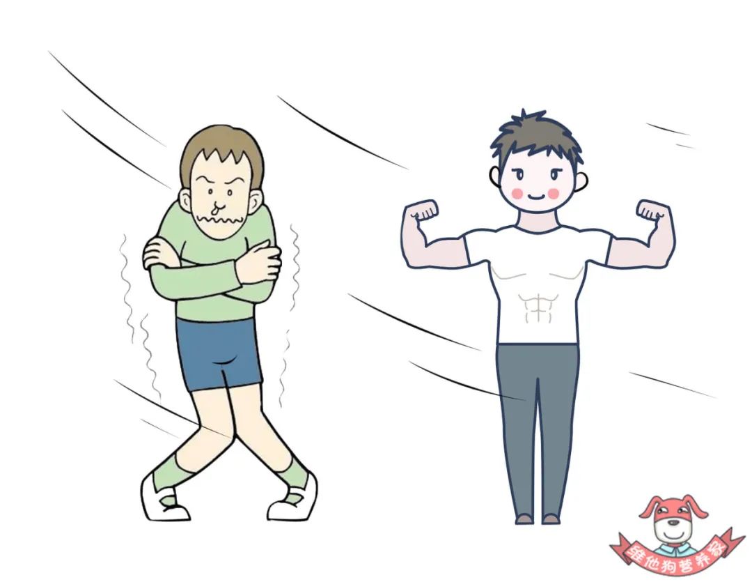 胆固醇越低越好?它的危害可比你想象中要严重