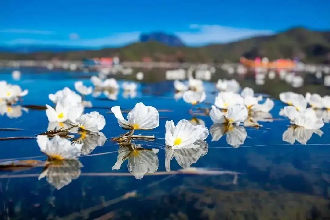30个一生必去的旅行地,第一名不是九寨沟