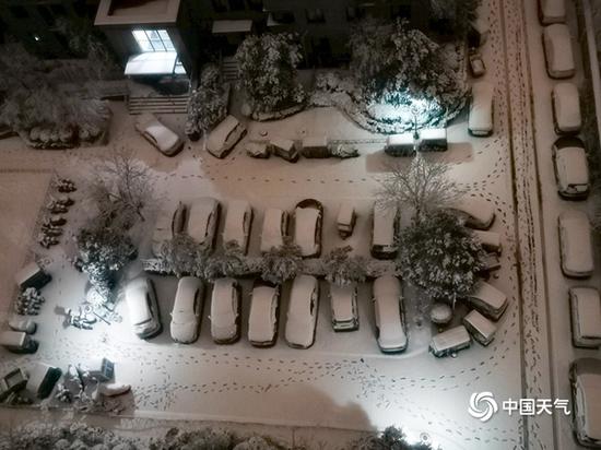 2月24日,河南迎来牛年首场降雪。