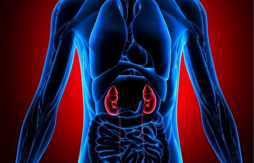 脾胃很差时，身体有5个表现，常做4件事，常吃2物，就能调脾胃