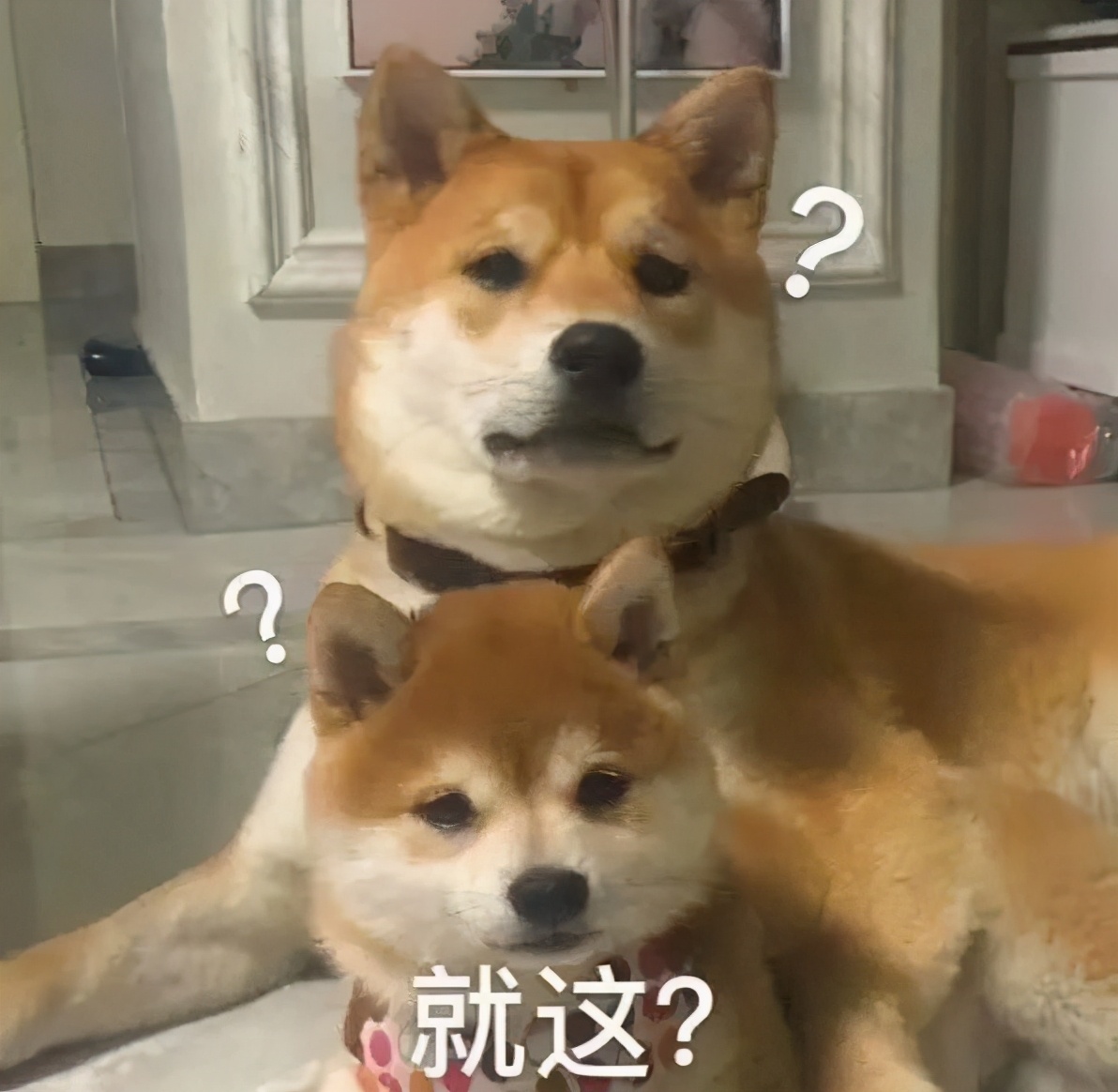 理财小白必看|解答4个问题,帮你重拾理财信心