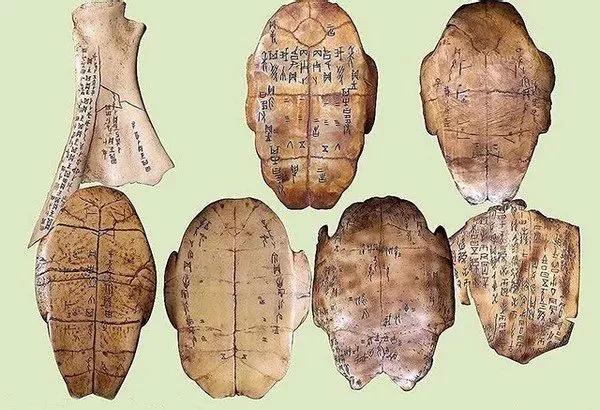 王立群:中华5000年文化,看河南就够了