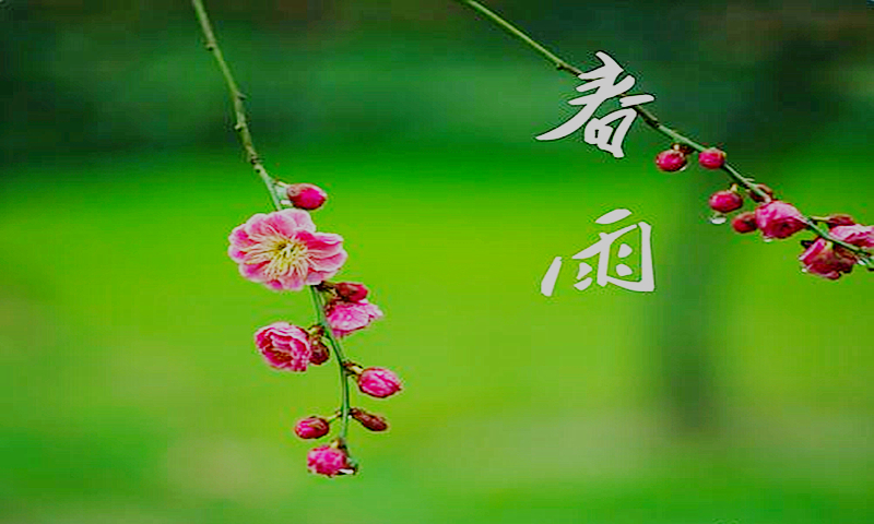 什么是最好的教育?让每朵浪花,在奔腾中汇入大海