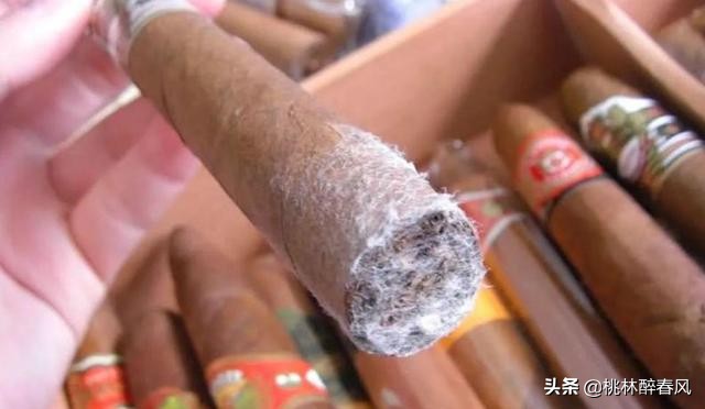这4种香烟被列入“黑名单”,医生提醒:烟瘾再大,也得尽量少抽