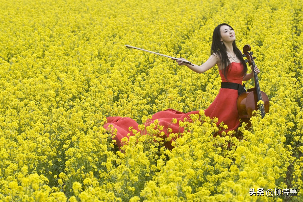 点评13张照片,分享4个摄影技巧,人像也能如鲜花般美好