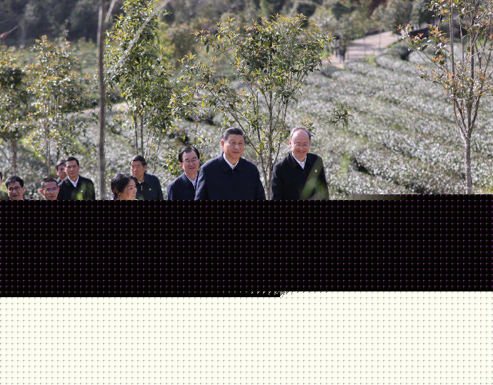习近平考察朱熹园谈文化自信：没有中华五千年文明，哪有我们今天的成功道路
