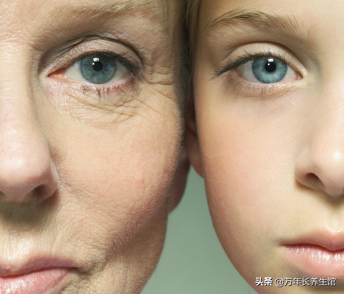 65岁以后的老年人如何吃得健康?4种营养素补齐,健康不请自来