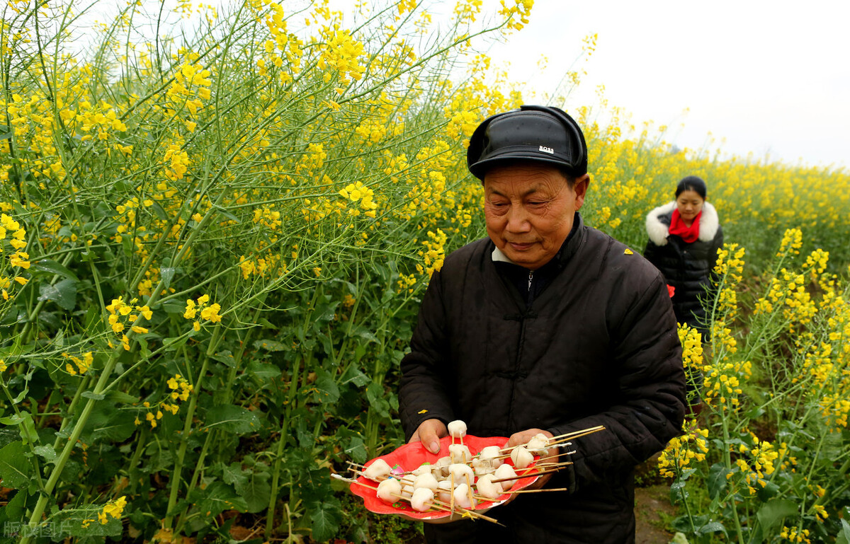 春分过后,老年人应做好4件事,防止感冒,身体才更健康