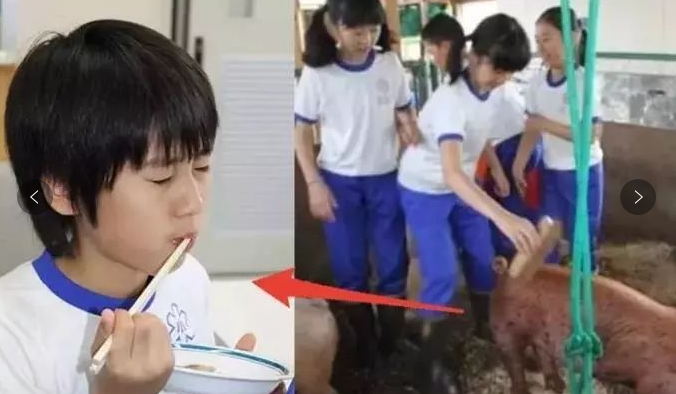 “亲手养大,亲手杀掉”,日本小学残忍教育引人不适,太血腥