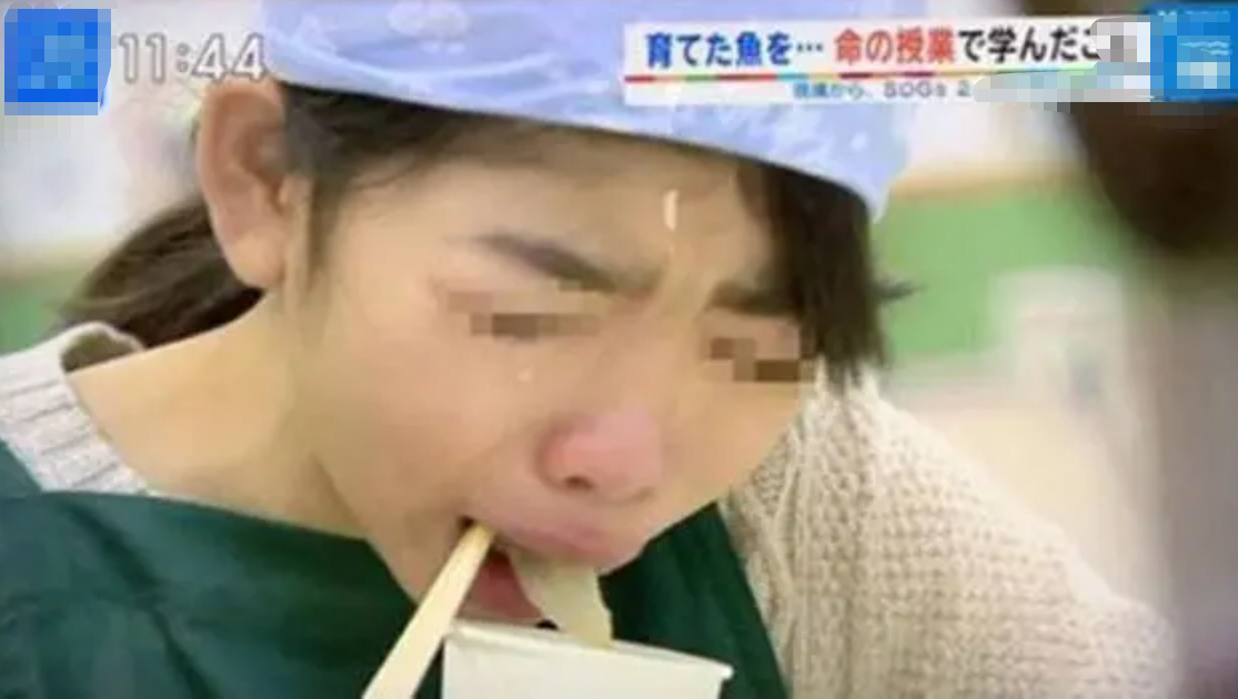 “亲手养大,亲手杀掉”,日本小学残忍教育引人不适,太血腥