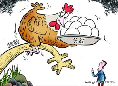 基金入门,看这一篇就够了(建议收藏)