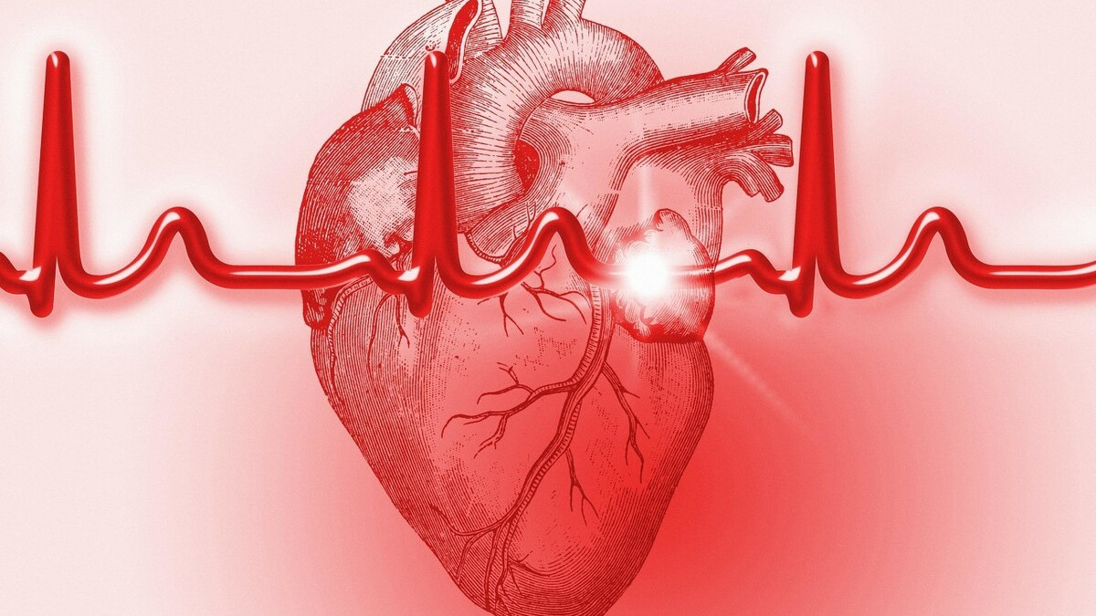 从心率状况，能看出长寿与否？你的心跳速度在什么范围？尽量清楚