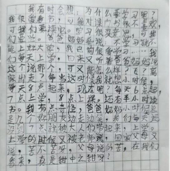 我的几点思考:如何解决基础教育和职业教育问题