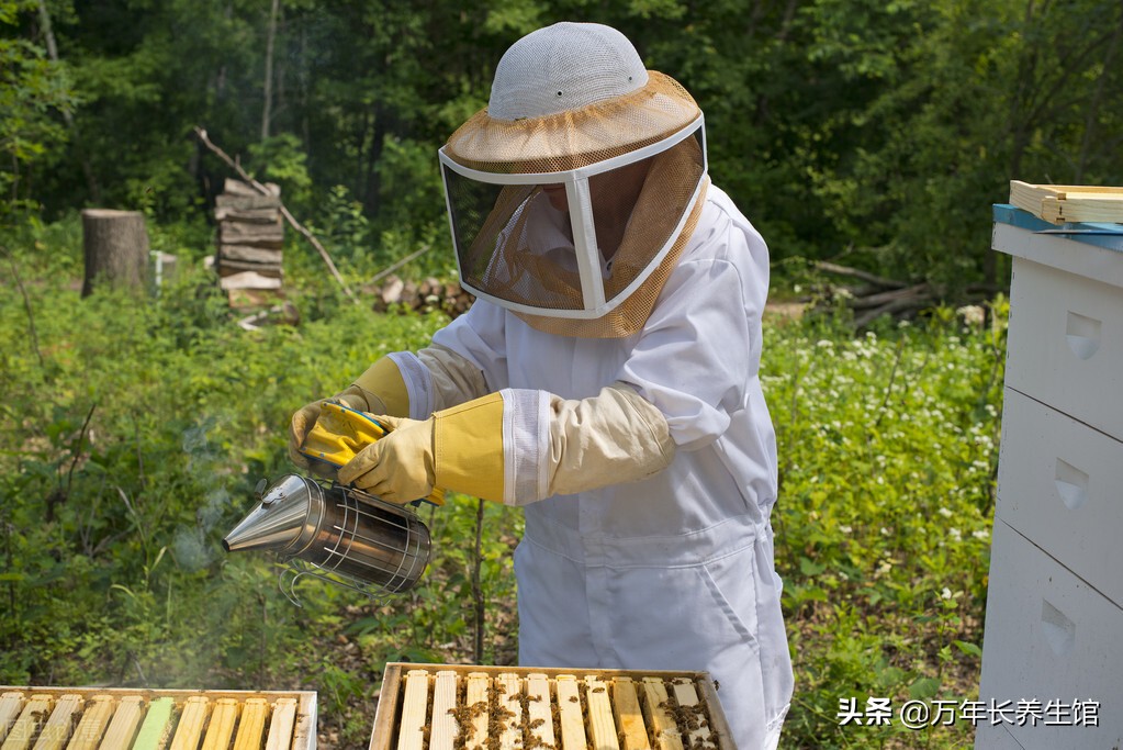 健康的老年人，生活中会坚持这7个饮食习惯，只是很少有人能做到