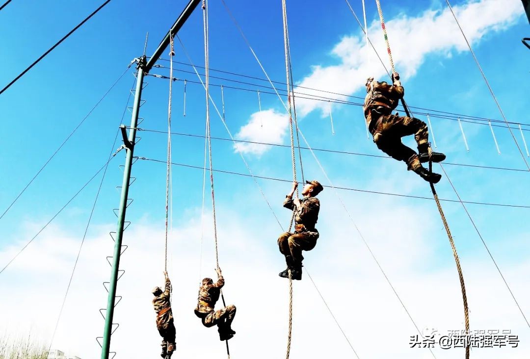 搞教育,通透