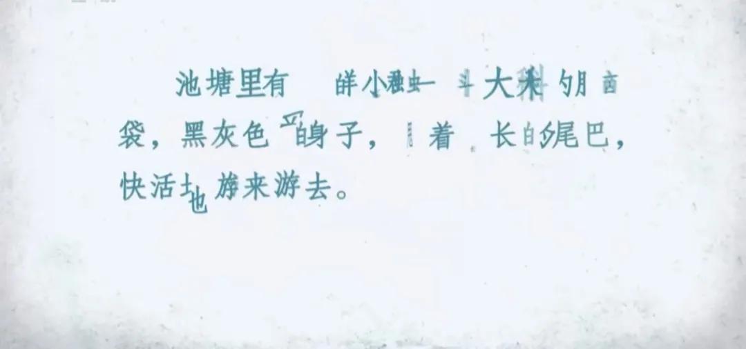 当中年父母决定妥协:孩子的健康远比分数更重要