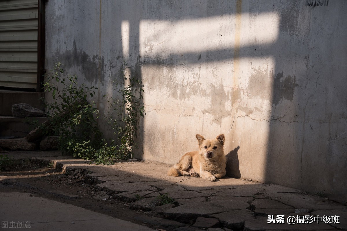 10大摄影构图手法，10个摄影技巧，拍好照片的杀手锏