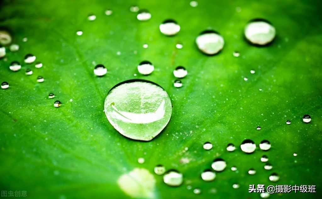 10大摄影构图手法,10个摄影技巧,拍好照片的杀手锏